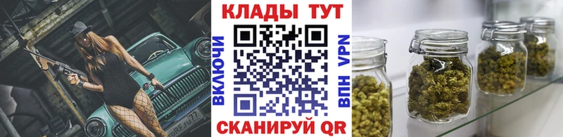 Где купить наркоту Новое Девяткино Гашиш  Кокаин  Мефедрон  Alpha-PVP  Канабис 