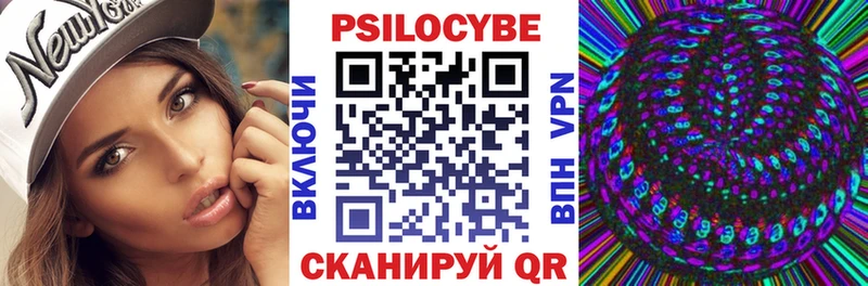 Псилоцибиновые грибы Psilocybine cubensis  Новое Девяткино 